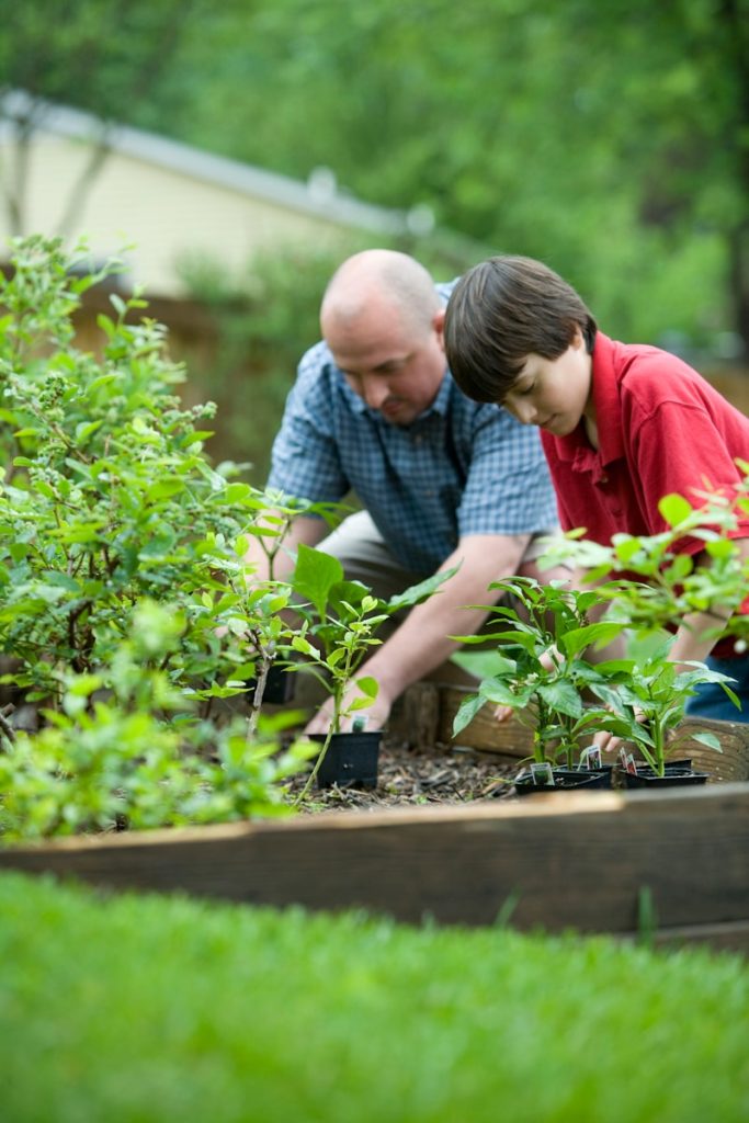 l'hortitherapie