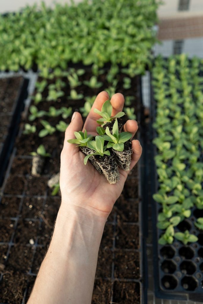 potager vertical